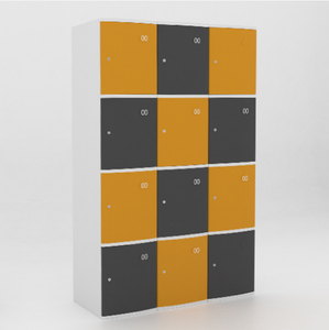 12 Door ABS Plastic Locker