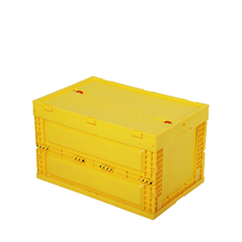 Space-saving Collapsible Plastic Storage Box with Lid